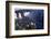 Iquassu (Iguacu) Falls on Brazil-Argentina Border, Once known as Santa Maria Falls-Paul Schutzer-Framed Photographic Print