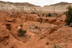 Hoodoos - Spires Created by Erosion - at Bryce Canyon National Park in Utah., 2019 (Photo)-Ira Block-Giclee Print