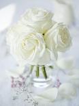 A Bunch of White Roses in a Glass Vase-Ira Leoni-Photographic Print