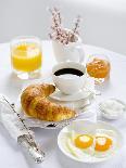 Baking Ingredients (Egg Yolk and Beaten Egg White)-Ira Leoni-Photographic Print