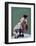 Irale-Jacques Clement-Framed Art Print