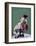 Irale-Jacques Clement-Framed Art Print