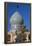 Iran, Central Iran, Shiraz, Imamzadeh-ye Ali Ebn-e Hamze, 19th century tomb of Emir Ali, dome-Walter Bibikw-Framed Premier Image Canvas