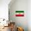 Iran Flag Design with Wood Patterning - Flags of the World Series-Philippe Hugonnard-Premium Giclee Print displayed on a wall