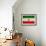 Iran Flag Design with Wood Patterning - Flags of the World Series-Philippe Hugonnard-Framed Art Print displayed on a wall