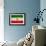 Iran Flag Design with Wood Patterning - Flags of the World Series-Philippe Hugonnard-Framed Art Print displayed on a wall