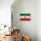 Iran Flag Design with Wood Patterning - Flags of the World Series-Philippe Hugonnard-Framed Stretched Canvas displayed on a wall