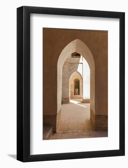 Iran, Natanz, Jameh Mosque, Arches-Walter Bibikow-Framed Photographic Print