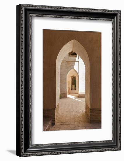 Iran, Natanz, Jameh Mosque, Arches-Walter Bibikow-Framed Photographic Print