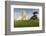 Iran, Tehran, Azadi Tower, Freedom Tower Monument-Walter Bibikow-Framed Photographic Print