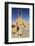 Iran, Yazd, Zoroastrian Complex of Amir Chakma with Bazaar Roofs-Anthony Asael-Framed Photographic Print