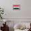 Iraq Flag Design with Wood Patterning - Flags of the World Series-Philippe Hugonnard-Framed Art Print displayed on a wall