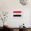 Iraq Flag Design with Wood Patterning - Flags of the World Series-Philippe Hugonnard-Framed Premium Giclee Print displayed on a wall