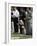 Iraqis, Inluding a Little Girl, Pause to Pray-null-Framed Photographic Print