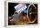 IRAS Infrared Astronomy Satellite-Mark Williamson-Framed Premier Image Canvas