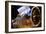 IRAS Infrared Astronomy Satellite-Mark Williamson-Framed Photographic Print