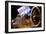 IRAS Infrared Astronomy Satellite-Mark Williamson-Framed Photographic Print