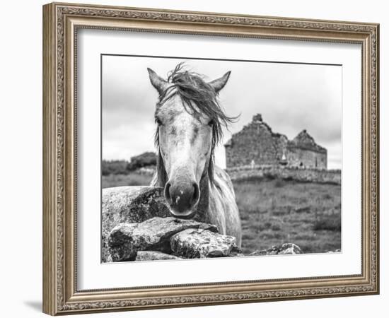 Ireland Black and White-Arabella Studios-Framed Giclee Print