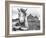 Ireland Black and White-Arabella Studios-Framed Giclee Print