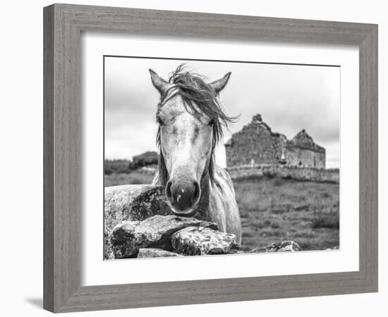 Ireland Black and White-Arabella Studios-Framed Giclee Print