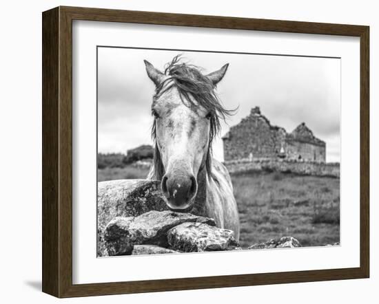 Ireland Black and White-Arabella Studios-Framed Giclee Print