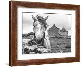 Ireland Black and White-Arabella Studios-Framed Giclee Print