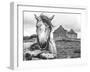 Ireland Black and White-Arabella Studios-Framed Giclee Print