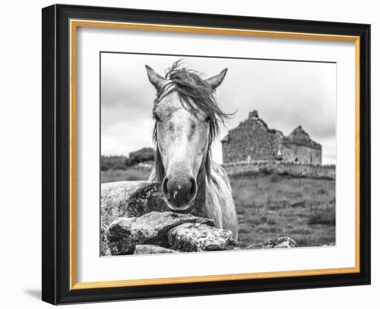 Ireland Black and White-Arabella Studios-Framed Giclee Print