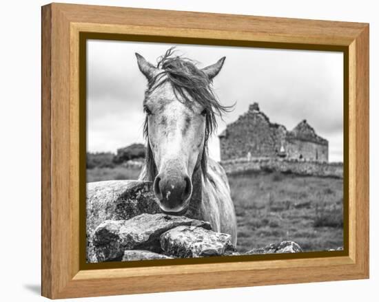 Ireland Black and White-Arabella Studios-Framed Premier Image Canvas