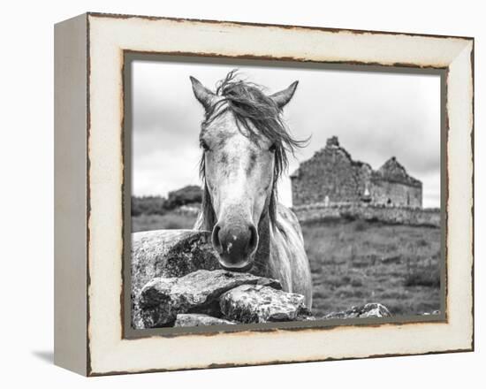 Ireland Black and White-Arabella Studios-Framed Premier Image Canvas