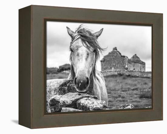 Ireland Black and White-Arabella Studios-Framed Premier Image Canvas