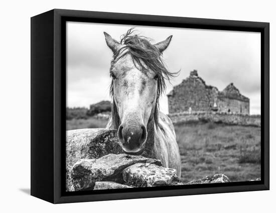 Ireland Black and White-Arabella Studios-Framed Premier Image Canvas