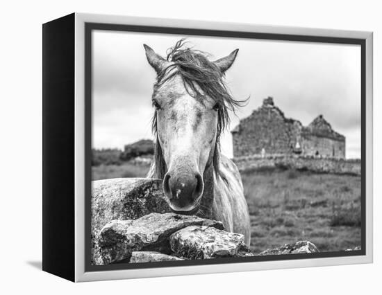 Ireland Black and White-Arabella Studios-Framed Premier Image Canvas