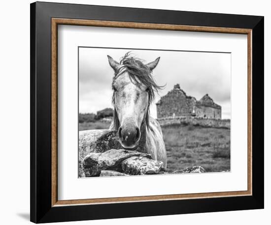 Ireland Black and White-Arabella Studios-Framed Premium Giclee Print