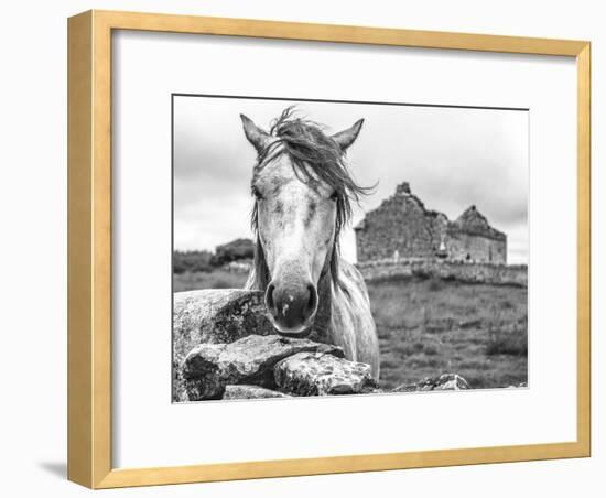 Ireland Black and White-Arabella Studios-Framed Premium Giclee Print