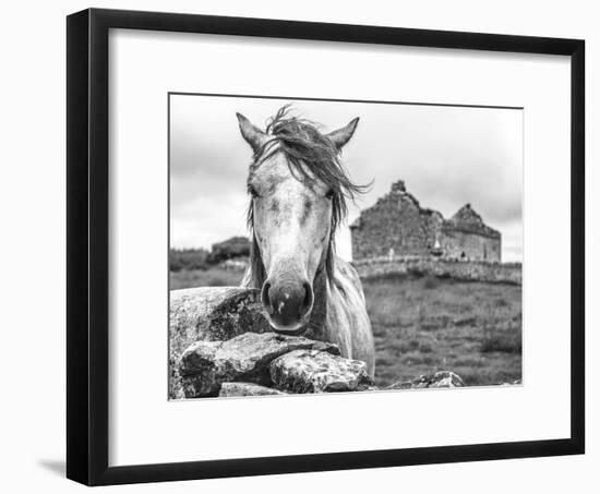 Ireland Black and White-Arabella Studios-Framed Premium Giclee Print