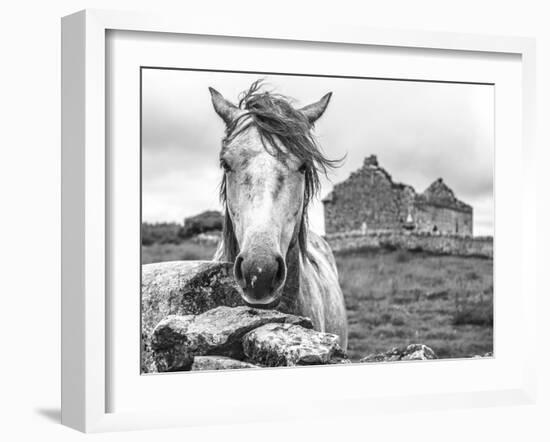 Ireland Black and White-Arabella Studios-Framed Premium Giclee Print