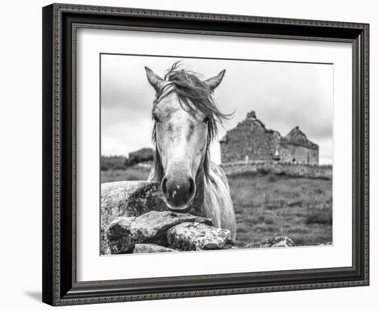 Ireland Black and White-Arabella Studios-Framed Premium Giclee Print