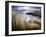 Ireland, Co.Donegal, Fanad, Ballymastoker bay and seagrass-Shaun Egan-Framed Photographic Print