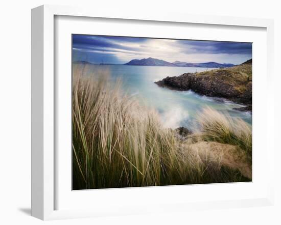 Ireland, Co.Donegal, Fanad, Ballymastoker bay and seagrass-Shaun Egan-Framed Photographic Print