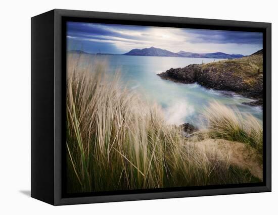 Ireland, Co.Donegal, Fanad, Ballymastoker bay and seagrass-Shaun Egan-Framed Premier Image Canvas