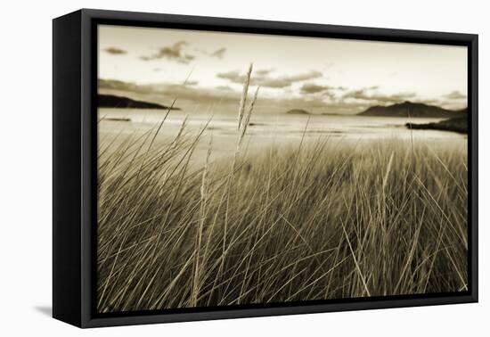 Ireland, Co.Donegal, Fanad, Ballymastoker bay-Shaun Egan-Framed Premier Image Canvas