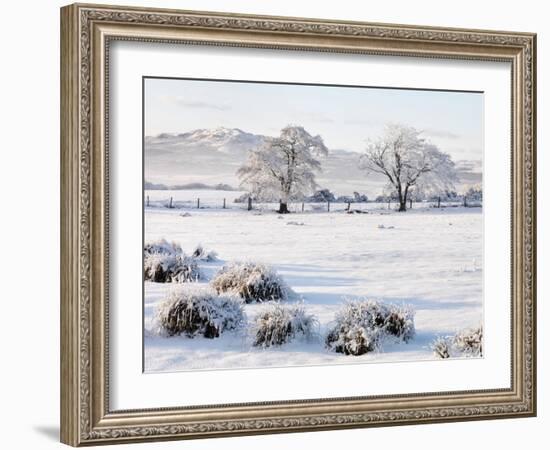 Ireland, Co.Donegal, Milford, snow covered landscape-Shaun Egan-Framed Photographic Print