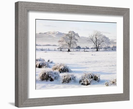 Ireland, Co.Donegal, Milford, snow covered landscape-Shaun Egan-Framed Photographic Print