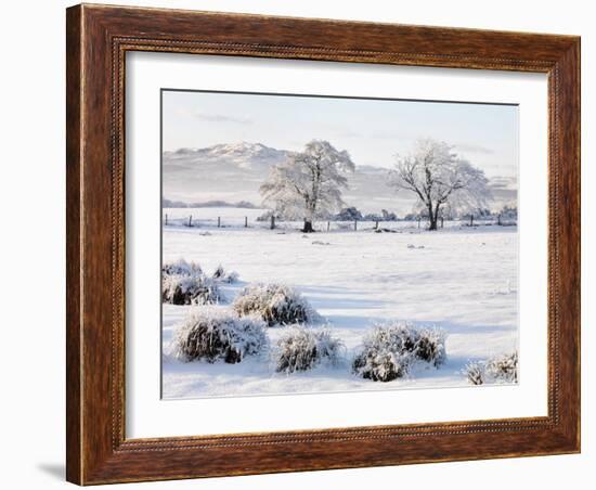 Ireland, Co.Donegal, Milford, snow covered landscape-Shaun Egan-Framed Photographic Print