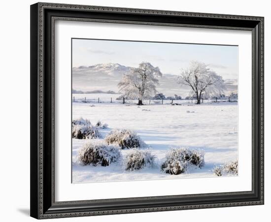 Ireland, Co.Donegal, Milford, snow covered landscape-Shaun Egan-Framed Photographic Print