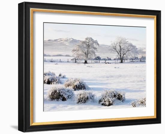Ireland, Co.Donegal, Milford, snow covered landscape-Shaun Egan-Framed Photographic Print