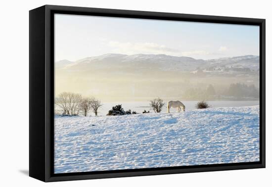 Ireland, Co.Donegal, Milford, snow covered landscape-Shaun Egan-Framed Premier Image Canvas