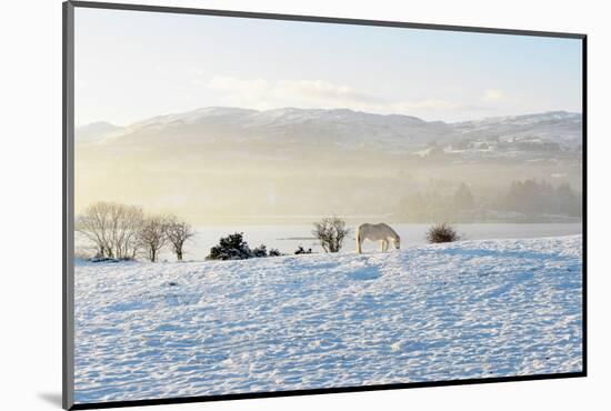Ireland, Co.Donegal, Milford, snow covered landscape-Shaun Egan-Mounted Photographic Print