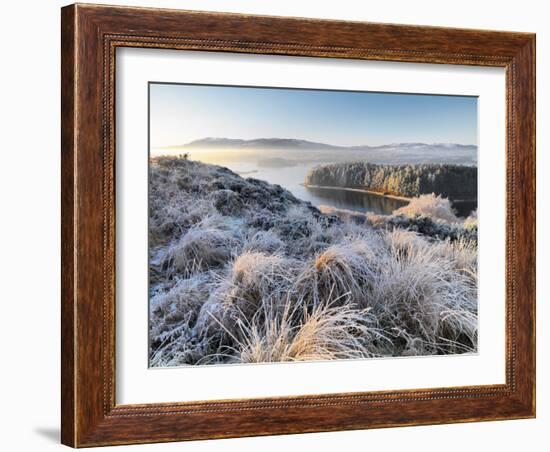 Ireland, Co.Donegal, Mulroy bay, winter landscape-Shaun Egan-Framed Photographic Print